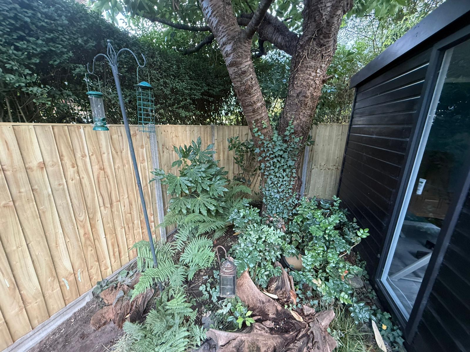 Neatly repaired closeboard fence by garden office